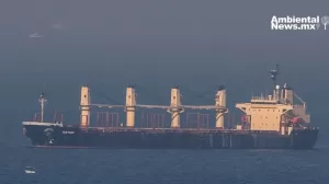 ANWEB Gobierno de Yemen pide ayuda urgente a la ONU por vertido de fertilizante en el Mar Rojo