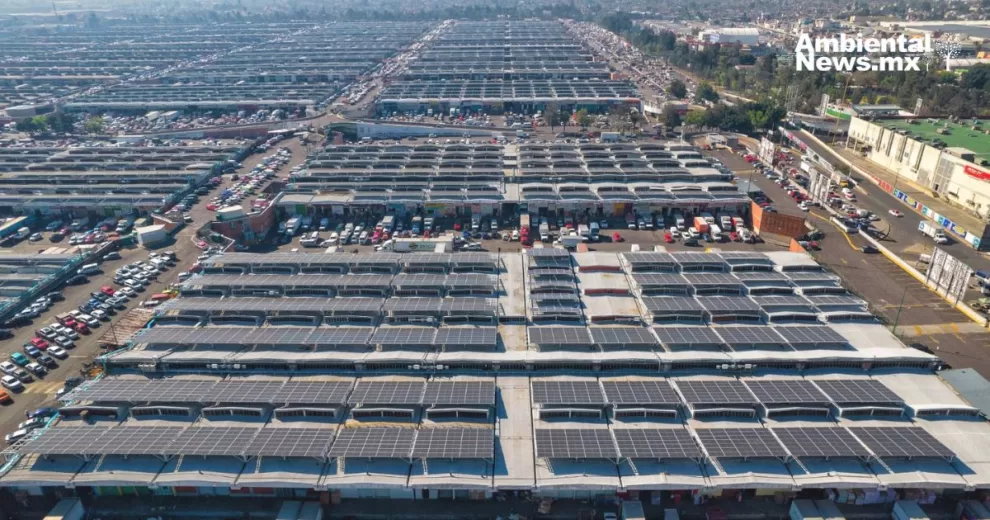 ANWEB La Central de Abasto de CDMX estrena la planta fotovoltaica mas grande del mundo en un mercado publico