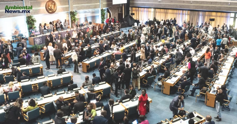 ANWEB La VI Asamblea de la ONU para el Medio Ambiente aborda la triple crisis planetaria en Nairob