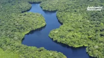 ANWEB La cuenca del Amazonas bajo la lupa Impactos humanos y climaticos revelados desde el espacio