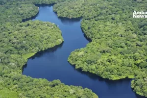 ANWEB La cuenca del Amazonas bajo la lupa Impactos humanos y climaticos revelados desde el espacio