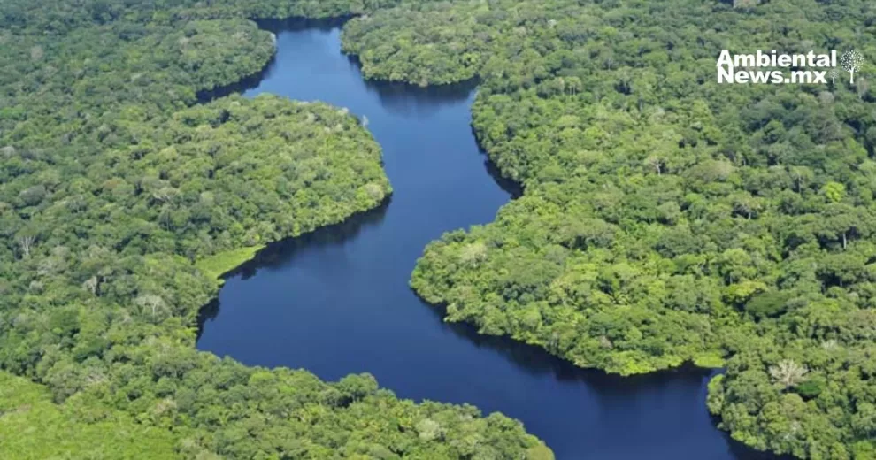 La cuenca del Amazonas bajo la lupa: Impactos humanos y climáticos revelados desde el espacio 10 ANWEB La cuenca del Amazonas bajo la lupa Impactos humanos y climaticos revelados desde el espacio