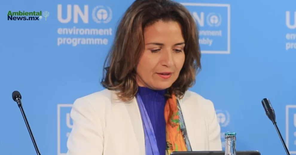 Líderes en la VI Asamblea de la ONU para el Medio Ambiente piden más multilateralismo ambiental 10 ANWEB Lideres en la VI Asamblea de la ONU para el Medio Ambiente piden mas multilateralismo ambiental