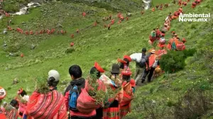 ANWEB Naciones Unidas Reconocen Iniciativas de Restauracion Ambiental a Nivel Mundial