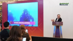 ANWEB Presentan el Sistema Arrecifal Artificial Sonorense para fomentar el turismo sustentable