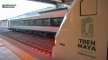 ANWEB Tren Maya en jaque Tribunal exige estudios ambientales y suspende tramo 5