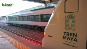 ANWEB Tren Maya en jaque Tribunal exige estudios ambientales y suspende tramo 5