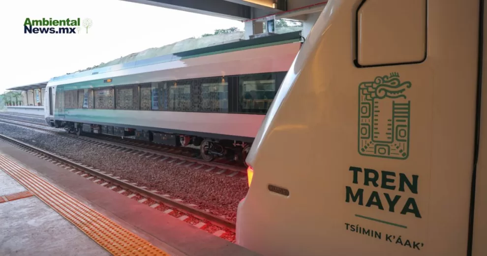 ANWEB Tren Maya en jaque Tribunal exige estudios ambientales y suspende tramo 5