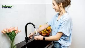 ANWEB UNAM comparte acciones y recomendaciones para el cuidado del agua