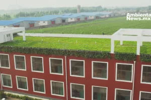 ANWEB sostenibilidad