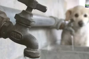 ANWEB ¡Huixquilucan al borde de la sequia El Grito silencioso de nuestros recursos hidricos