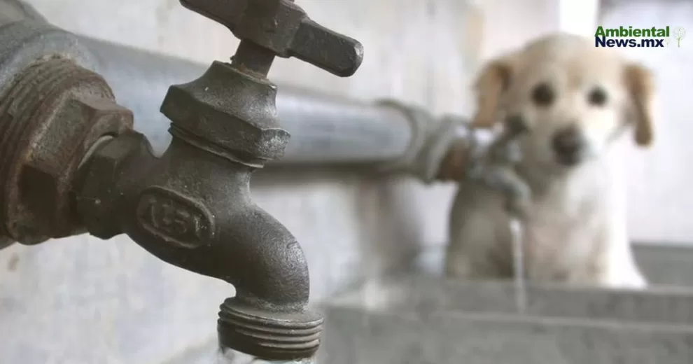 ANWEB ¡Huixquilucan al borde de la sequia El Grito silencioso de nuestros recursos hidricos