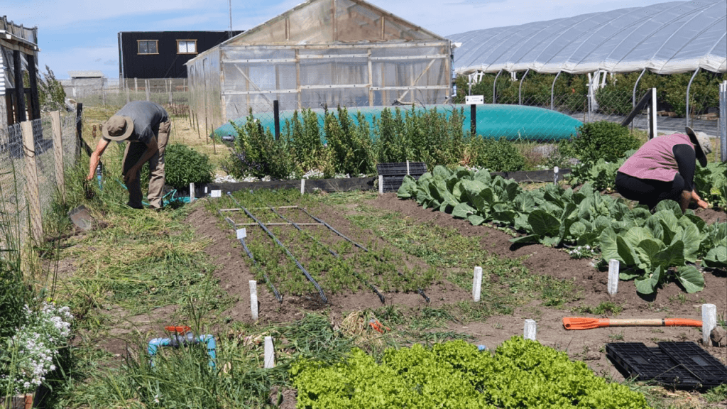 Impulsa Chile "Faros Agroecológicos" 11 image 5