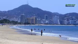 ANWEB Alerta de Cofepris Playas No aptas para turistas en Semana Santa