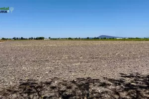 ANWEB Alerta de la UMFFAAC Posible crisis agricola ante prohibicion del glifosato