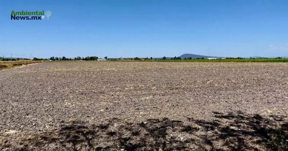 ANWEB Alerta de la UMFFAAC Posible crisis agricola ante prohibicion del glifosato