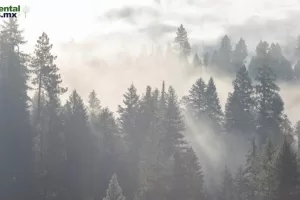 ANWEB Aumenta la represion contra defensores ambientales en Europa denuncia informe de la ONU