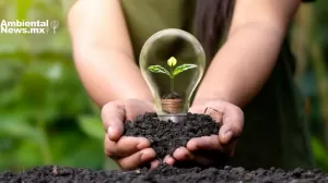 ANWEB BBVA crea unidad de financiamiento para energias limpias