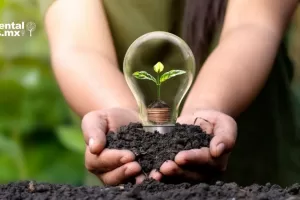 ANWEB BBVA crea unidad de financiamiento para energias limpias