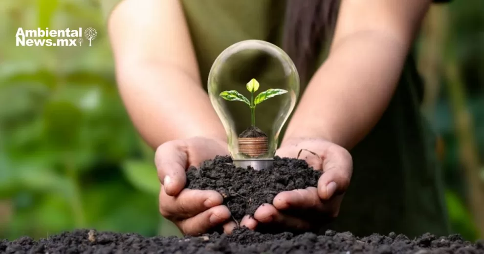 BBVA crea unidad de financiamiento para energías limpias 11 ANWEB BBVA crea unidad de financiamiento para energias limpias
