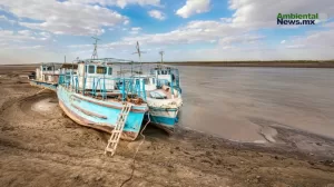 ANWEB Crisis del Agua Una Amenaza Global para la Paz Mundial