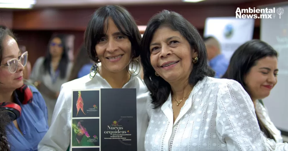 ANWEB Descubiertas ocho nuevas especies de orquideas en el Parque Natural Farallones de Cali