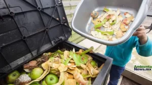 ANWEB Desperdicio alimentario Una crisis global que requiere accion urgente
