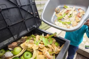 ANWEB Desperdicio alimentario Una crisis global que requiere accion urgente