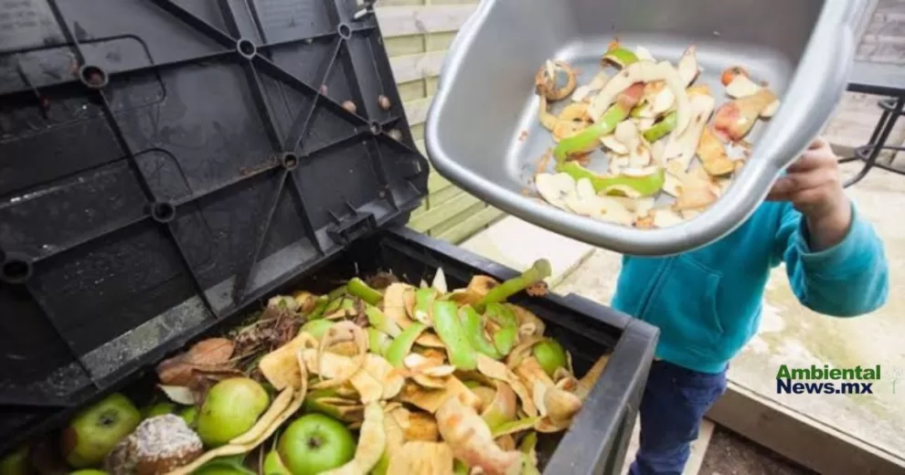 ANWEB Desperdicio alimentario Una crisis global que requiere accion urgente