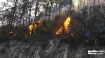 ANWEB Emergencia por incendios forestales AMLO Informa sobre la crisis ambiental en Mexico