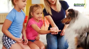 ANWEB Expertos exigen leyes mas fuertes para la proteccion de la biodiversidad