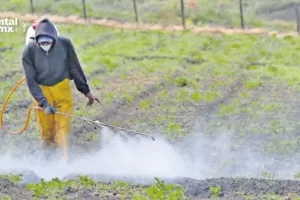 ANWEB Gobierno mexicano retrocede en veto al herbicida