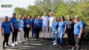 ANWEB Guardianas de El Conchalito Transformando ecosistemas y vidas en La Paz BCS