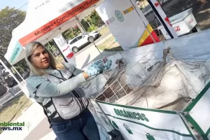 ANWEB La Industria del reciclaje avanza firme beneficiando al medio ambiente