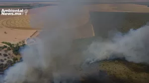 ANWEB La banca espanola entre las mas activas en financiar empresas daninas para el planeta