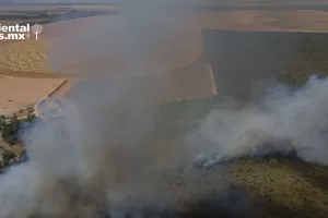 ANWEB La banca espanola entre las mas activas en financiar empresas daninas para el planeta