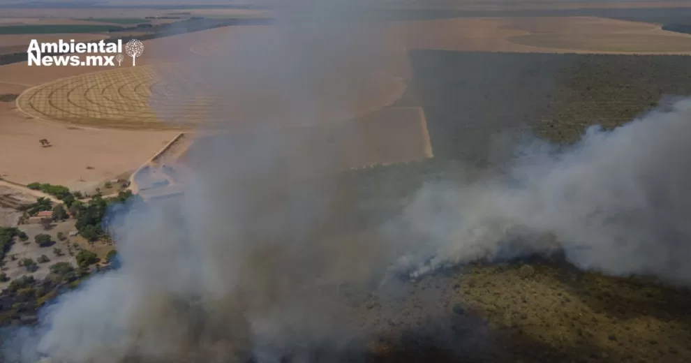 ANWEB La banca espanola entre las mas activas en financiar empresas daninas para el planeta