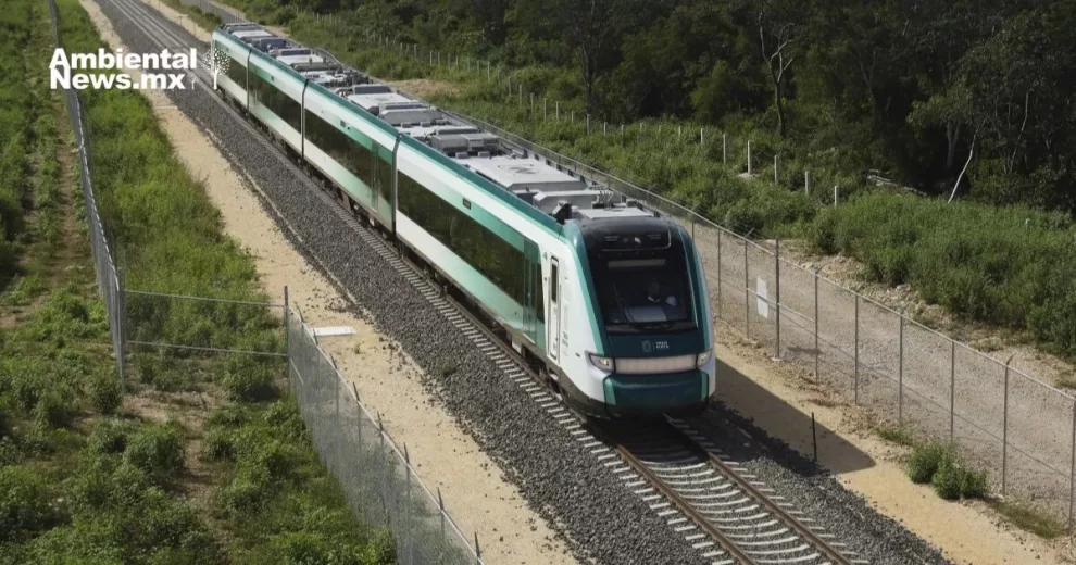 Lleva senadora Mayuli Martínez al Senado, denuncias de ambientalistas sobre la destrucción del acuífero maya por el tren