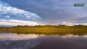 ANWEB Peru pierde mas de 34 millones de hectareas de bosques y selva en dos decadas