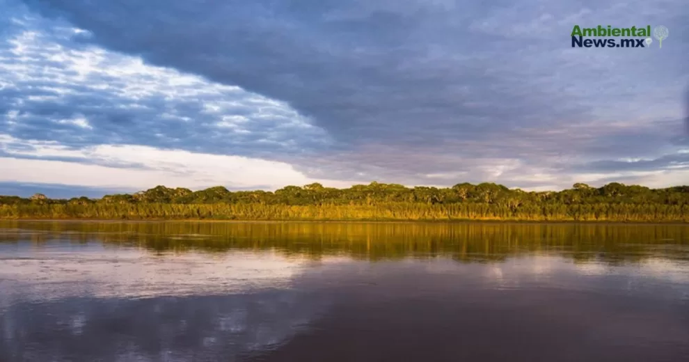 ANWEB Peru pierde mas de 34 millones de hectareas de bosques y selva en dos decadas