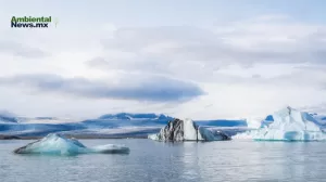 ANWEB Reduccion de glaciares