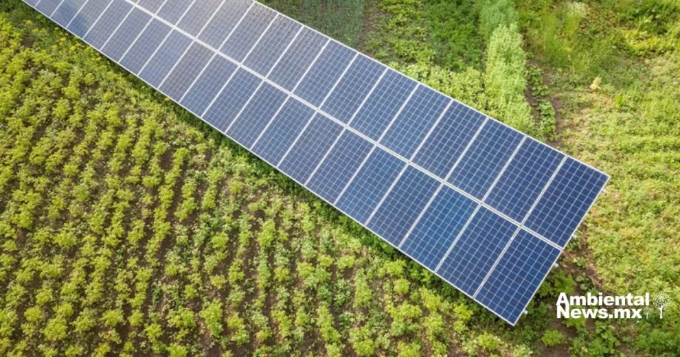 ANWEB Retoman productores de Cuauhtemoc Chihuahua proyecto de uso de energias limpias