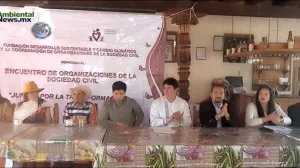 ANWEB Sin una remediacion efectiva en 2030 desaparecera el Lago de Patzcuaro