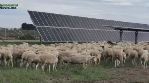 ANWEB UNEF presenta la IV Cumbre de Autoconsumo y Comunidades Energeticas