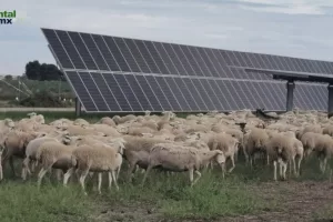 ANWEB UNEF presenta la IV Cumbre de Autoconsumo y Comunidades Energeticas