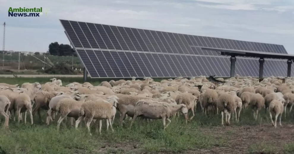 UNEF presenta la IV Cumbre de Autoconsumo y Comunidades Energéticas 10 ANWEB UNEF presenta la IV Cumbre de Autoconsumo y Comunidades Energeticas
