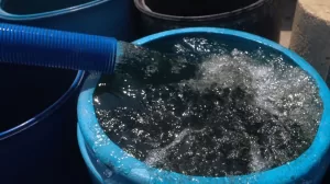 Desarrollar acciones para captacion y almacenamiento de agua piden desde el Senado
