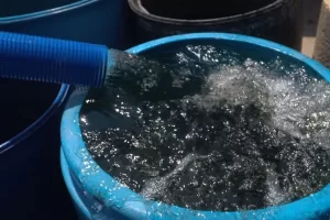 Desarrollar acciones para captacion y almacenamiento de agua piden desde el Senado