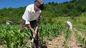 Proponen en el Senado implementar agricultura regenerativa