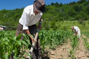 Proponen en el Senado implementar agricultura regenerativa